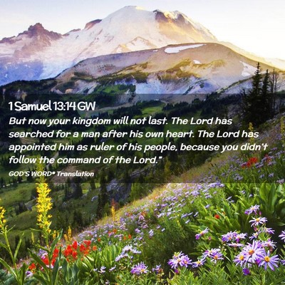 Picture 02 - 1 Samuel 13:14 GW - But now your kingdom will not last. The Lord has - Bible Verse Picture