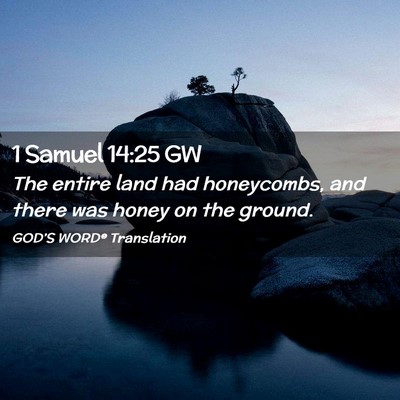 Picture 02 - 1 Samuel 14:25 GW - The entire land had honeycombs, and there was - Bible Verse Picture