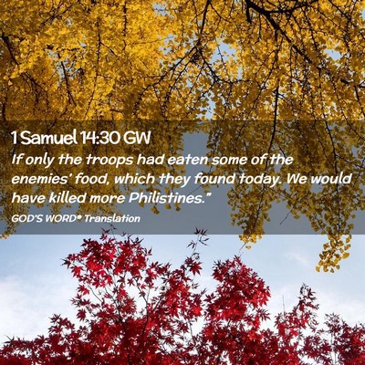Picture 02 - 1 Samuel 14:30 GW - If only the troops had eaten some of the - Bible Verse Picture