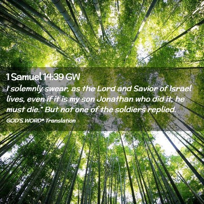 Picture 02 - 1 Samuel 14:39 GW - I solemnly swear, as the Lord and Savior of - Bible Verse Picture