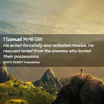 Picture 02 - 1 Samuel 14:48 GW - He acted forcefully and defeated Amalek. He - Bible Verse Picture