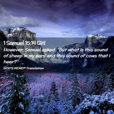 Picture 02 - 1 Samuel 15:14 GW - However, Samuel asked, “But what is this sound - Bible Verse Picture