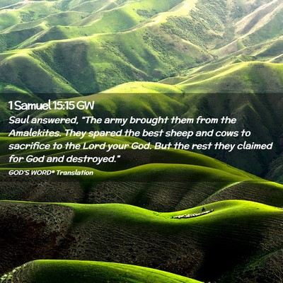 Picture 02 - 1 Samuel 15:15 GW - Saul answered, “The army brought them from the - Bible Verse Picture