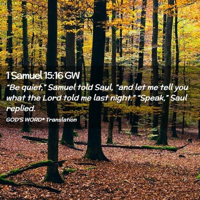 Picture 02 - 1 Samuel 15:16 GW - “Be quiet,” Samuel told Saul, “and let me - Bible Verse Picture