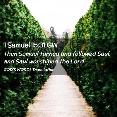 Picture 02 - 1 Samuel 15:31 GW - Then Samuel turned and followed Saul, and Saul - Bible Verse Picture
