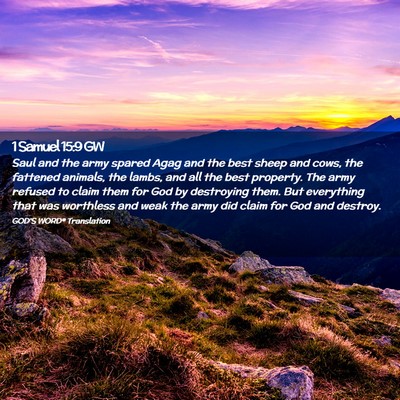 Picture 02 - 1 Samuel 15:9 GW - Saul and the army spared Agag and the best sheep - Bible Verse Picture