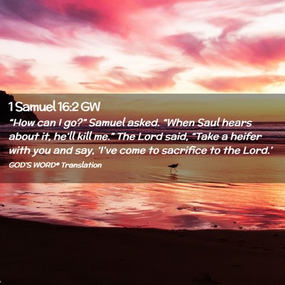Picture 02 - 1 Samuel 16:2 GW - “How can I go?” Samuel asked. “When Saul - Bible Verse Picture