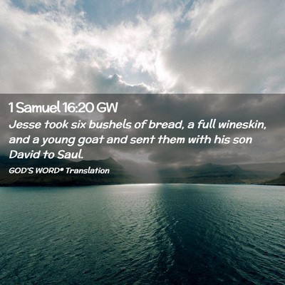 Picture 02 - 1 Samuel 16:20 GW - Jesse took six bushels of bread, a full wineskin, - Bible Verse Picture