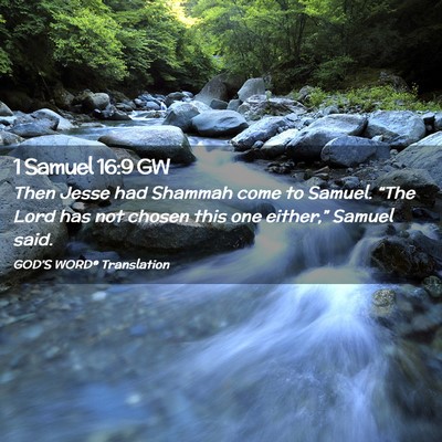 Picture 02 - 1 Samuel 16:9 GW - Then Jesse had Shammah come to Samuel. “The - Bible Verse Picture