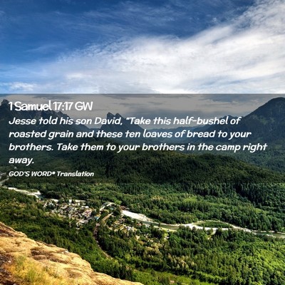 Picture 02 - 1 Samuel 17:17 GW - Jesse told his son David, “Take this - Bible Verse Picture