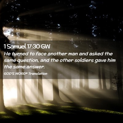 Picture 02 - 1 Samuel 17:30 GW - He turned to face another man and asked the same - Bible Verse Picture