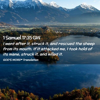 Picture 02 - 1 Samuel 17:35 GW - I went after it, struck it, and rescued the sheep - Bible Verse Picture