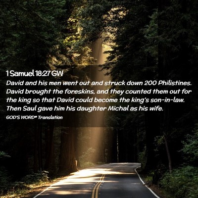 Picture 02 - 1 Samuel 18:27 GW - David and his men went out and struck down 200 - Bible Verse Picture