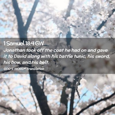 Picture 02 - 1 Samuel 18:4 GW - Jonathan took off the coat he had on and gave it - Bible Verse Picture