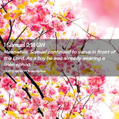 Picture 02 - 1 Samuel 2:18 GW - Meanwhile, Samuel continued to serve in front of - Bible Verse Picture