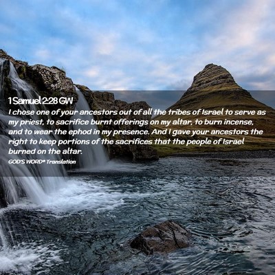 Picture 02 - 1 Samuel 2:28 GW - I chose one of your ancestors out of all the - Bible Verse Picture