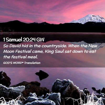 Picture 02 - 1 Samuel 20:24 GW - So David hid in the countryside. When the New - Bible Verse Picture