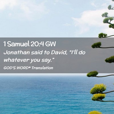 Picture 02 - 1 Samuel 20:4 GW - Jonathan said to David, “I’ll do whatever you - Bible Verse Picture