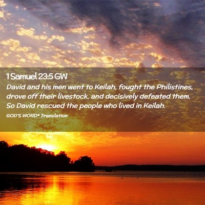 Picture 02 - 1 Samuel 23:5 GW - David and his men went to Keilah, fought the - Bible Verse Picture