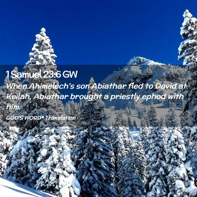 Picture 02 - 1 Samuel 23:6 GW - When Ahimelech’s son Abiathar fled to David at - Bible Verse Picture