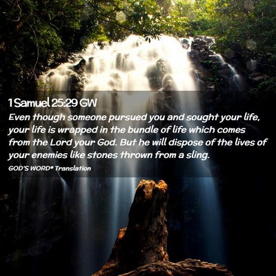 Picture 02 - 1 Samuel 25:29 GW - Even though someone pursued you and sought your - Bible Verse Picture