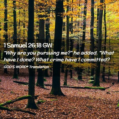Picture 02 - 1 Samuel 26:18 GW - “Why are you pursuing me?” he added. “What - Bible Verse Picture
