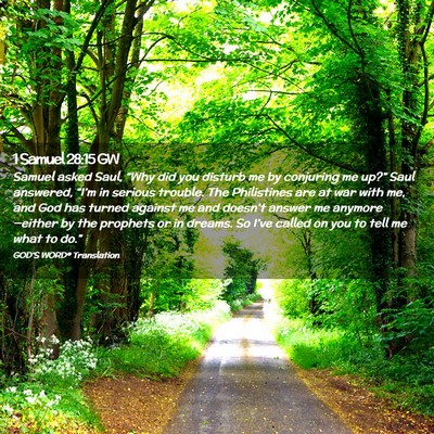 Picture 02 - 1 Samuel 28:15 GW - Samuel asked Saul, “Why did you disturb me by - Bible Verse Picture