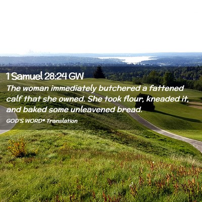 Picture 02 - 1 Samuel 28:24 GW - The woman immediately butchered a fattened calf - Bible Verse Picture