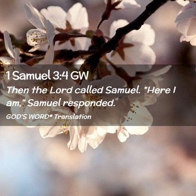 Picture 02 - 1 Samuel 3:4 GW - Then the Lord called Samuel. “Here I am,” - Bible Verse Picture