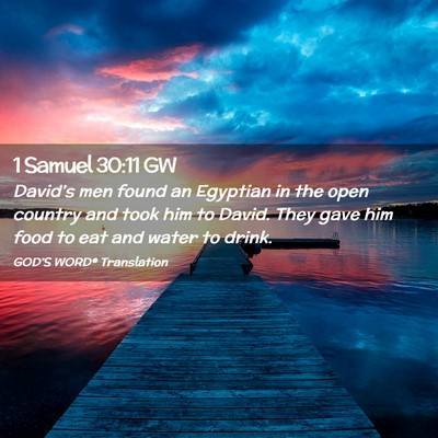 Picture 02 - 1 Samuel 30:11 GW - David’s men found an Egyptian in the open - Bible Verse Picture