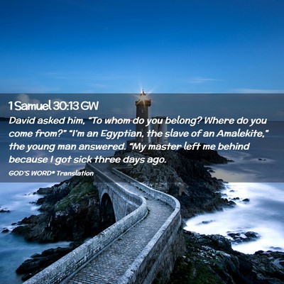Picture 02 - 1 Samuel 30:13 GW - David asked him, “To whom do you belong? Where - Bible Verse Picture