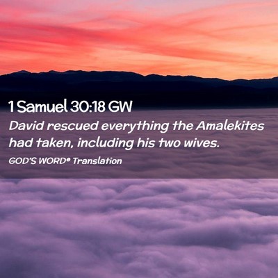 Picture 02 - 1 Samuel 30:18 GW - David rescued everything the Amalekites had - Bible Verse Picture
