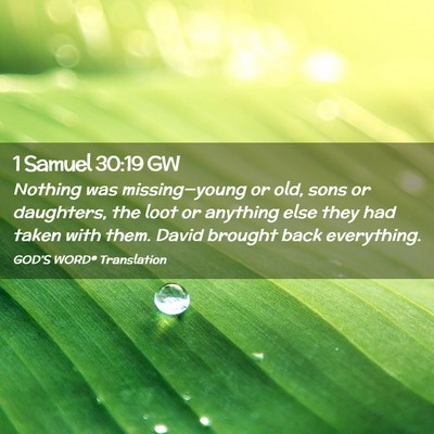 Picture 02 - 1 Samuel 30:19 GW - Nothing was missing—young or old, sons or - Bible Verse Picture