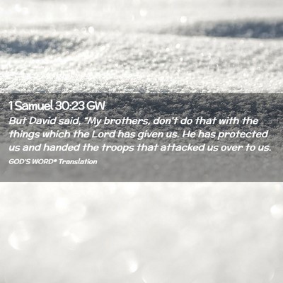 Picture 02 - 1 Samuel 30:23 GW - But David said, “My brothers, don’t do that - Bible Verse Picture