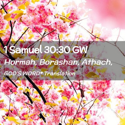 Picture 02 - 1 Samuel 30:30 GW - Hormah, Borashan, - Bible Verse Picture