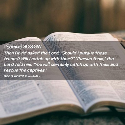 Picture 02 - 1 Samuel 30:8 GW - Then David asked the Lord, “Should I pursue - Bible Verse Picture