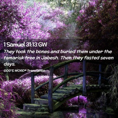 Picture 02 - 1 Samuel 31:13 GW - They took the bones and buried them under the - Bible Verse Picture