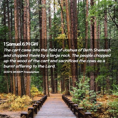 Picture 02 - 1 Samuel 6:14 GW - The cart came into the field of Joshua of Beth - Bible Verse Picture