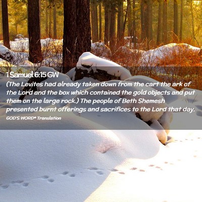 Picture 02 - 1 Samuel 6:15 GW - (The Levites had already taken down from the cart - Bible Verse Picture