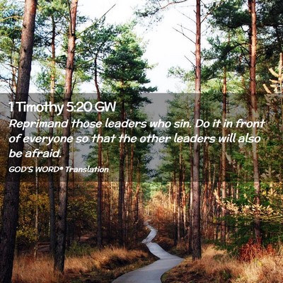 Picture 02 - 1 Timothy 5:20 GW - Reprimand those leaders who sin. Do it in front - Bible Verse Picture