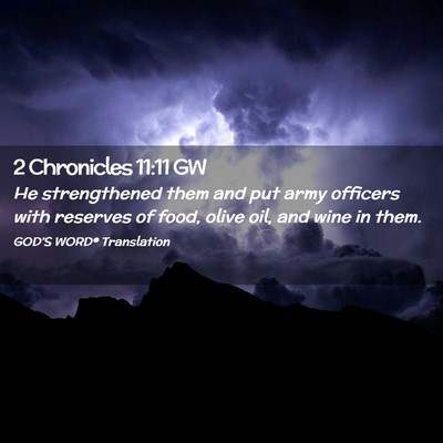 Picture 02 - 2 Chronicles 11:11 GW - He strengthened them and put army officers with - Bible Verse Picture