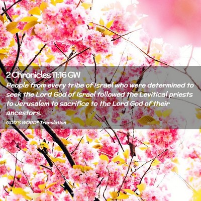 Picture 02 - 2 Chronicles 11:16 GW - People from every tribe of Israel who were - Bible Verse Picture