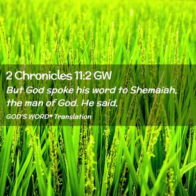 Picture 02 - 2 Chronicles 11:2 GW - But God spoke his word to Shemaiah, the man of - Bible Verse Picture