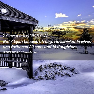 Picture 02 - 2 Chronicles 13:21 GW - But Abijah became strong. He married 14 wives and - Bible Verse Picture