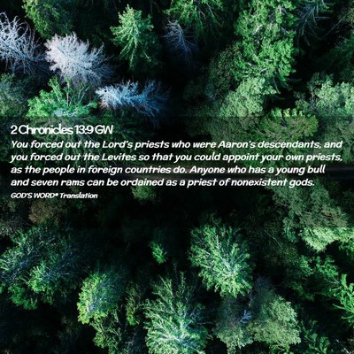 Picture 02 - 2 Chronicles 13:9 GW - You forced out the Lord’s priests who were - Bible Verse Picture