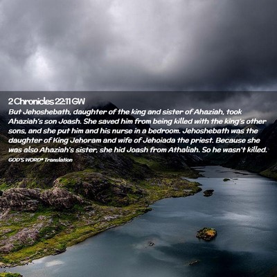 Picture 02 - 2 Chronicles 22:11 GW - But Jehoshebath, daughter of the king and sister - Bible Verse Picture