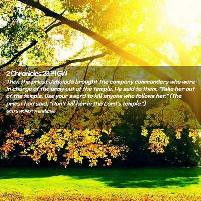 Picture 02 - 2 Chronicles 23:14 GW - Then the priest Jehoiada brought the company - Bible Verse Picture