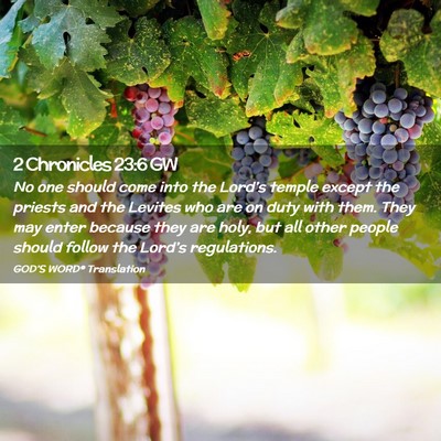 Picture 02 - 2 Chronicles 23:6 GW - No one should come into the Lord’s temple - Bible Verse Picture