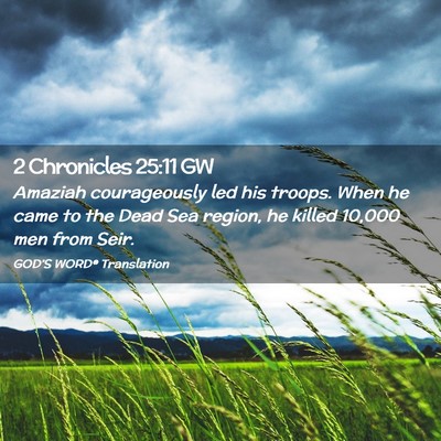 Picture 02 - 2 Chronicles 25:11 GW - Amaziah courageously led his troops. When he came - Bible Verse Picture