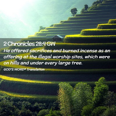 Picture 02 - 2 Chronicles 28:4 GW - He offered sacrifices and burned incense as an - Bible Verse Picture